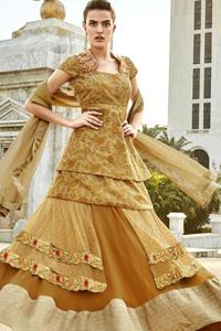 Picture of Saddlebruin Anarkali A041