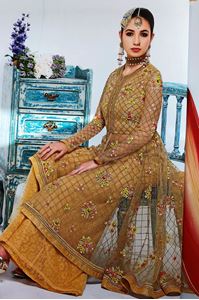 Picture of Brown Tan Net Salwar Kameez SS073