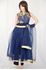 Picture of Navy Blue Anarkali A120
