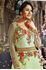 Picture of Pale Green Anarkali / Gown A091