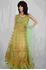 Picture of Pale green Netted Anarkali A103