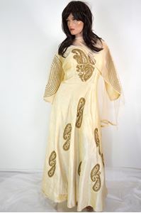 Picture of Cream Yellow Anarkali A171
