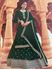 Picture of Green Anarkali - A204