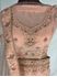 Picture of Peach Heavy Embroidery Lehenga L028